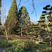 Planten un Blomen, Hamburg, 16.1.20_1