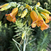 Planten un Blomen am 16.1.20