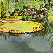 Schloßgarten Erlangen, 18.9.21