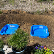 Creation of our bog bed on 22. June 2020_5