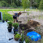 Creation of our bog bed on 22. June 2020_3