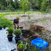 Creation of our bog bed on 22. June 2020_2