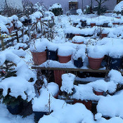 Impressionen 1