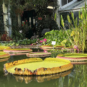 Palace garden Erlangen