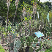 Palace garden Erlangen