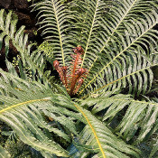Planten un Blomen on the 16.1.20