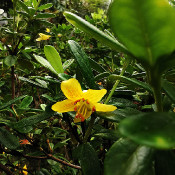 Rhododendron-Park Bremen - botanika on the 01.10.20