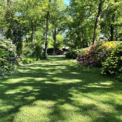 Rhododendron-Park Bremen - botanika, 2.6.21_3