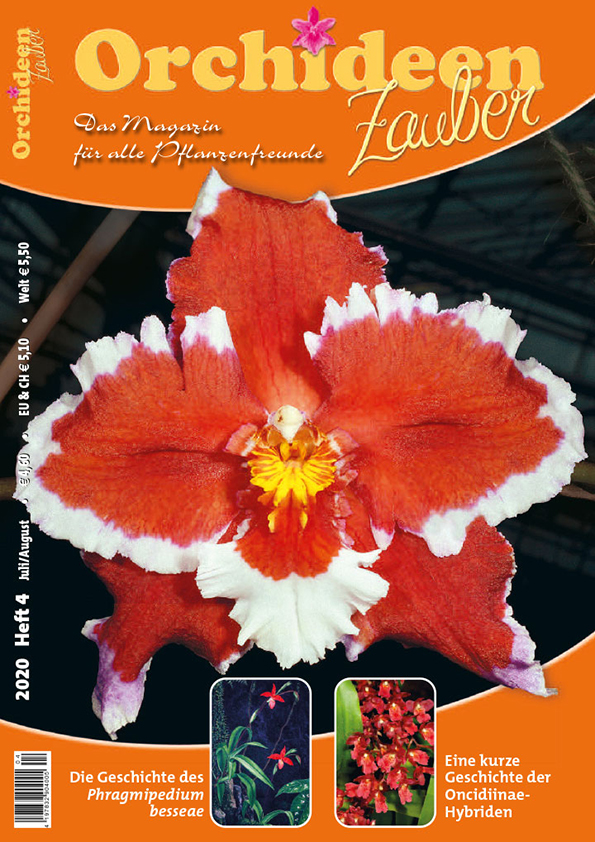 "Orchideen Zauber" Issue 4/2020