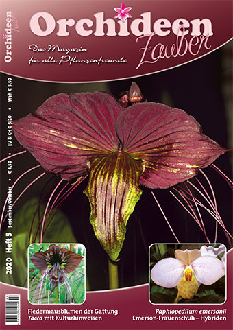 OrchideenZauber Heft 5/2020