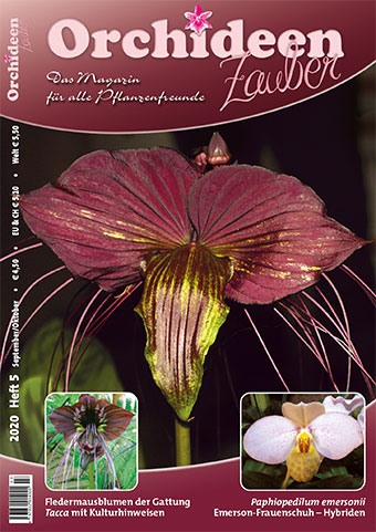 OrchideenZauber Heft 5/2020