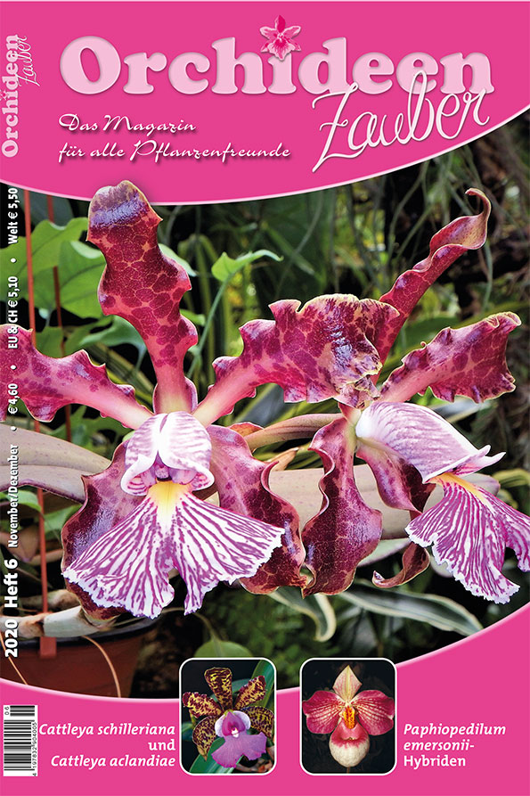 "OrchideenZauber" Issue 6/2020