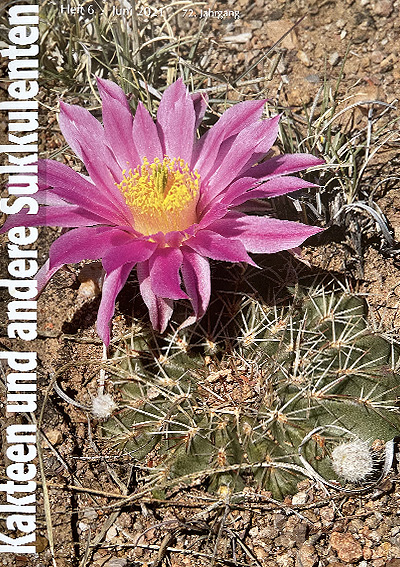 "Kakteen und andere Sukkulenten" Issue 06/June 2021
