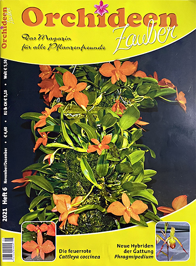 "OrchideenZauber" Issue 6/2021