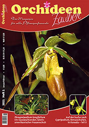 "OrchideenZauber" Issue 1/2021