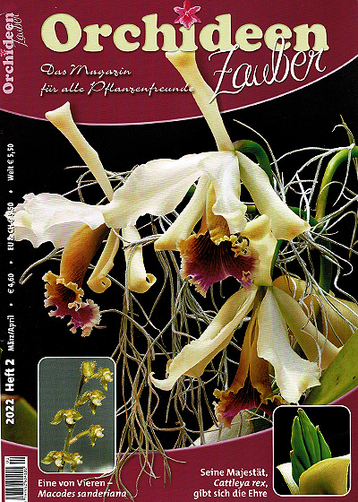 OrchideenZauber Heft 2/2022