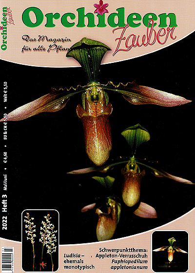 OrchideenZauber Issue 3/2022