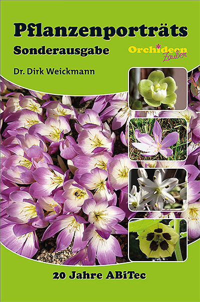 Portraits of plants – Special issue of the magazine “OrchideenZauber”